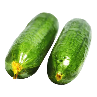 Зелёный огурец на белом фоне :: Стоковая фотография :: Pixel-Shot Studio