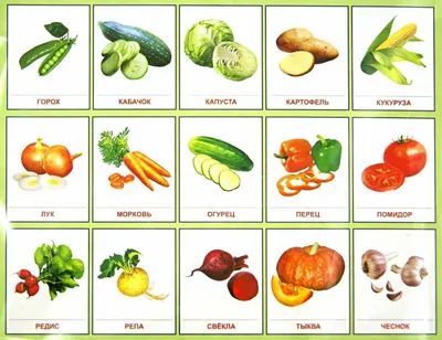 Фото овощей для детей фотографии
