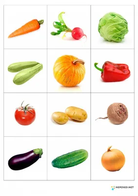 Картинки Овощи и фрукты для детей 5 6 лет (39 шт.) - #4830