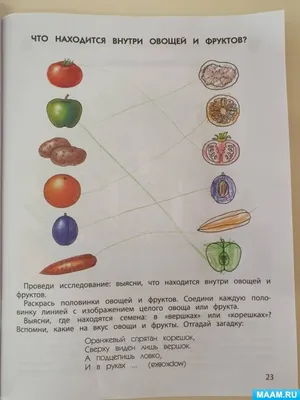 Развивающий плакат для детей учим фрукты, Формат А3, Развивашки для детей ,  Учим фрукты и овощи - купить с доставкой по выгодным ценам в  интернет-магазине OZON (641163218)