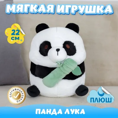 Гигантская Панда Ест Бамбуковые Листья Панды Кормятся В Зоопарке — стоковые  фотографии и другие картинки Бамбук - iStock