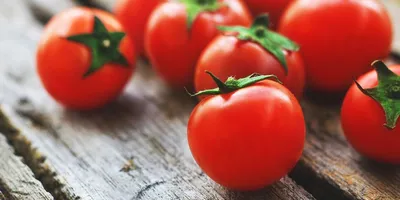 Черри помидоры - описание продукта, как выбирать, как готовить, читайте на  Gastronom.ru