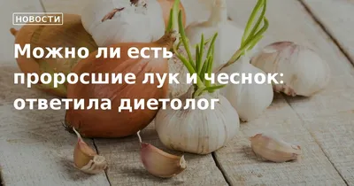 Продам проросший Лук, купити проросший Лук — Agro-Ukraine