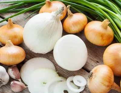 Как вырастить вкусный лук на подоконнике — секреты и тонкости