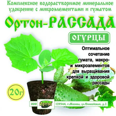 Выращивание огурцов дома. Как быстро вырастить огурцы на подоконнике или  балконе?