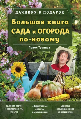 Макет сада и огорода (4 фото). Воспитателям детских садов, школьным  учителям и педагогам - Маам.ру