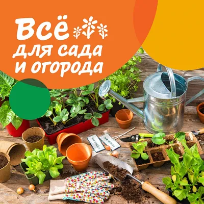 Для дачи, сада, огорода — Молоток — профнастил, теплицы, сотовый  поликарбонат, сайдинг, водосток, строительные материалы