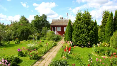 Красивый сад в даче стоковое изображение. изображение насчитывающей завод -  105108727