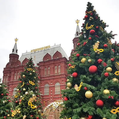 Топ-10 самых красивых елок городов Грузии. ФОТО