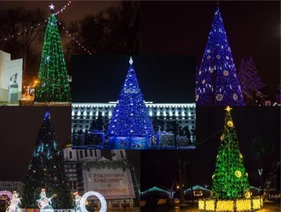 Картинки красивые елки (35 фото) 🔥 Прикольные картинки и юмор