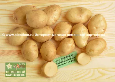 Семенной картофель