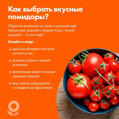 Система полива «Синьор Помидор Про» с шаровым таймером на 8 программ (Синьор  Помидор) — купить по цене 4900руб. 👉 артикул — sinpro72-8 Интернет магазин  DachaRU 🏡 Москва 📞8 (800) 500-83-66