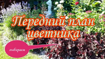 Красивый передний край цветника.Выбираем варианты.Сад своими руками. Дача.  Ландшафтный дизайн. - YouTube