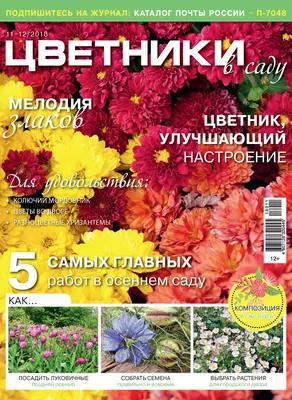 Цветники в саду №11-12/2018 – скачать pdf на ЛитРес