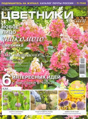 Современный цветник - Ассоциация специалистов ландшафтной индустрии - все о  ландшафте