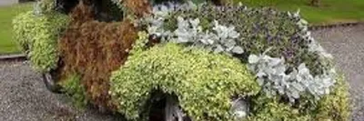 Цветник С НУЛЯ - КАК из ЖУРНАЛА! Цветник у ВХОДНОЙ ЗОНЫ перед домом. Как я  это сделала? СМОТРИТЕ! - YouTube