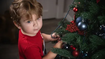Новогодняя фотосессия - лучшие идеи для новогодней съемки 2023-2024 | Иди,  и снимай!