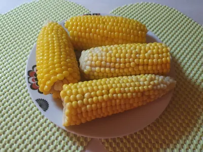 Польза вареной кукурузы