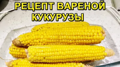 Оборудование для продажи кукурузы
