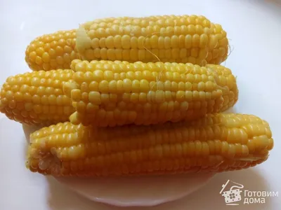 Как правильно сварить кукурузу