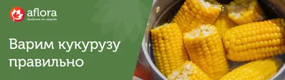 Сколько можно заработать на вареной кукурузе в глубинке?