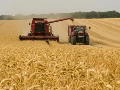 По линии госматрезерва будет произведена закупка 10 тыс. тонн  продовольственного зерна пшеницы, - Минсельхоз — Tazabek