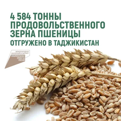 Цены растут, зерна не хватает: что происходит на рынке пшеницы -  14.06.2022, Sputnik Абхазия