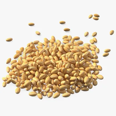 Фотография крупным планом зерна пшеницы · Бесплатные стоковые фото