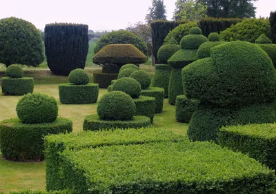 Monty Don's French Gardens - смотреть сериал онлайн