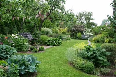 Фруктовый сад на даче фото фотографии