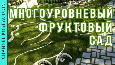 Всё по плану: на какие зоны лучше всего разделить дачный участок?:  Общество: Облгазета