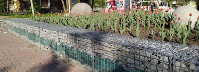 Габионы в ландшафте