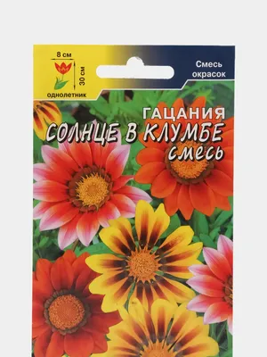 Русский Огород Семена цветов Гацания Солнечный свет