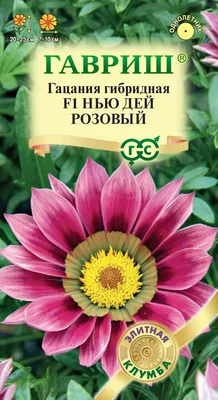 Гацания Кисс F1 Rose