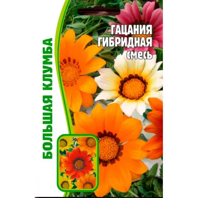 ИНТЕРНЕТ МАГАЗИН СЕМЯН СТРИЖАКОВОЙ ЕЛЕНЫ - ГАЦАНИЯ ЗАНИ