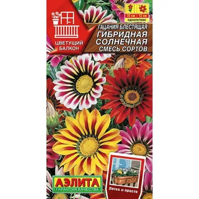 Цветы Гацания Муза Смесь ЦВ/П (ГАВРИШ) 0,05гр однолетник 20-30см