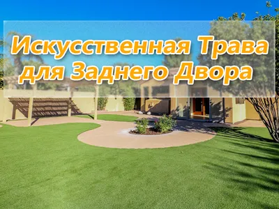 Теневая газонная трава (трава для тени) - купить в рулонах, узнать цены или  заказать оптом от производителя в Трансстрой Озеленение.
