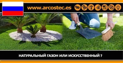 Какую траву выбрать для посадки газона: обзор видов трав и сортов смесей,  примеры на фото