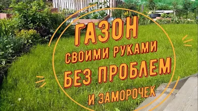 Плодовый сад на газоне. Как совместить приятное и полезное?