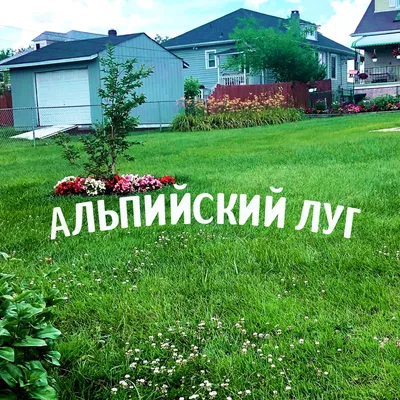 Как сделать ровный газон