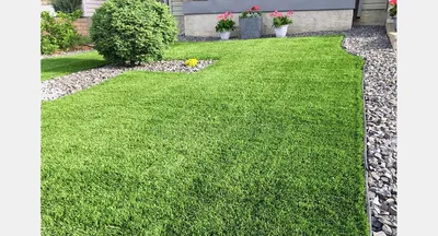 Как выбрать газонную траву для дачи : советы специалистов | Park Decor в  Тюмени