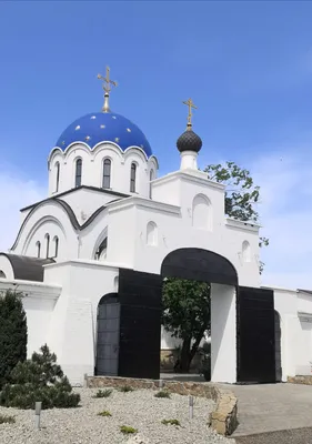 Гефсиманский сад, Иерусалим | Бизнес-школа БИЗНЕС ИНСАЙТ | Дзен