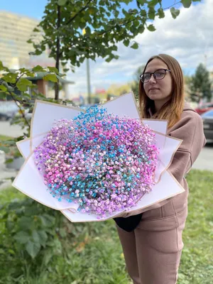 Гипсофила: как вырастить белое облако у себя в саду | Росток🌷: заметки  садовода | Дзен