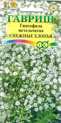 Гипсофила метельчатая Alba