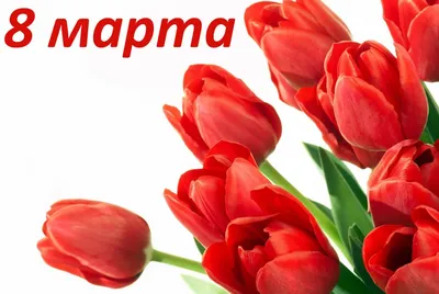 С праздником 8 марта! - Санаторий Бузули