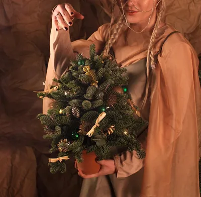 Украшение рождественской елки в форме традиционные голландские деревянные  ботинки - Klompen закупоривает Стоковое Фото - изображение насчитывающей  противников, закупоривает: 133629592