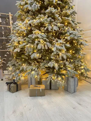 МАГАЗИН ИННОВАЦИЙ on Instagram: \"Голландская праздничная ель Black Box  «Дуглас» с мягкой реалистичной хвоей и 3 размерами на выбор 🎄 Мы нашли для  вас отличную новогоднюю елку, которая не уступит настоящей! 🌟