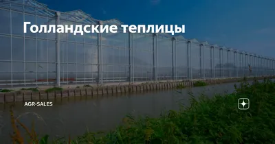Голландские теплицы | ➡️агровикипедия, энциклопедия агро и сельское  хозяйство | Дзен