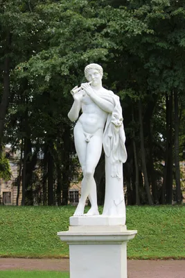 Купить картина по номерам Paintboy Голландский сад, 40x50, цены в Москве на  Мегамаркет | Артикул: 600001083351