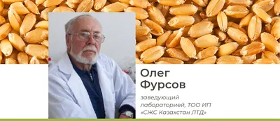 Чего ждать от нового сезона. Микотоксинов? Превышения пестицидов? —  Latifundist.com